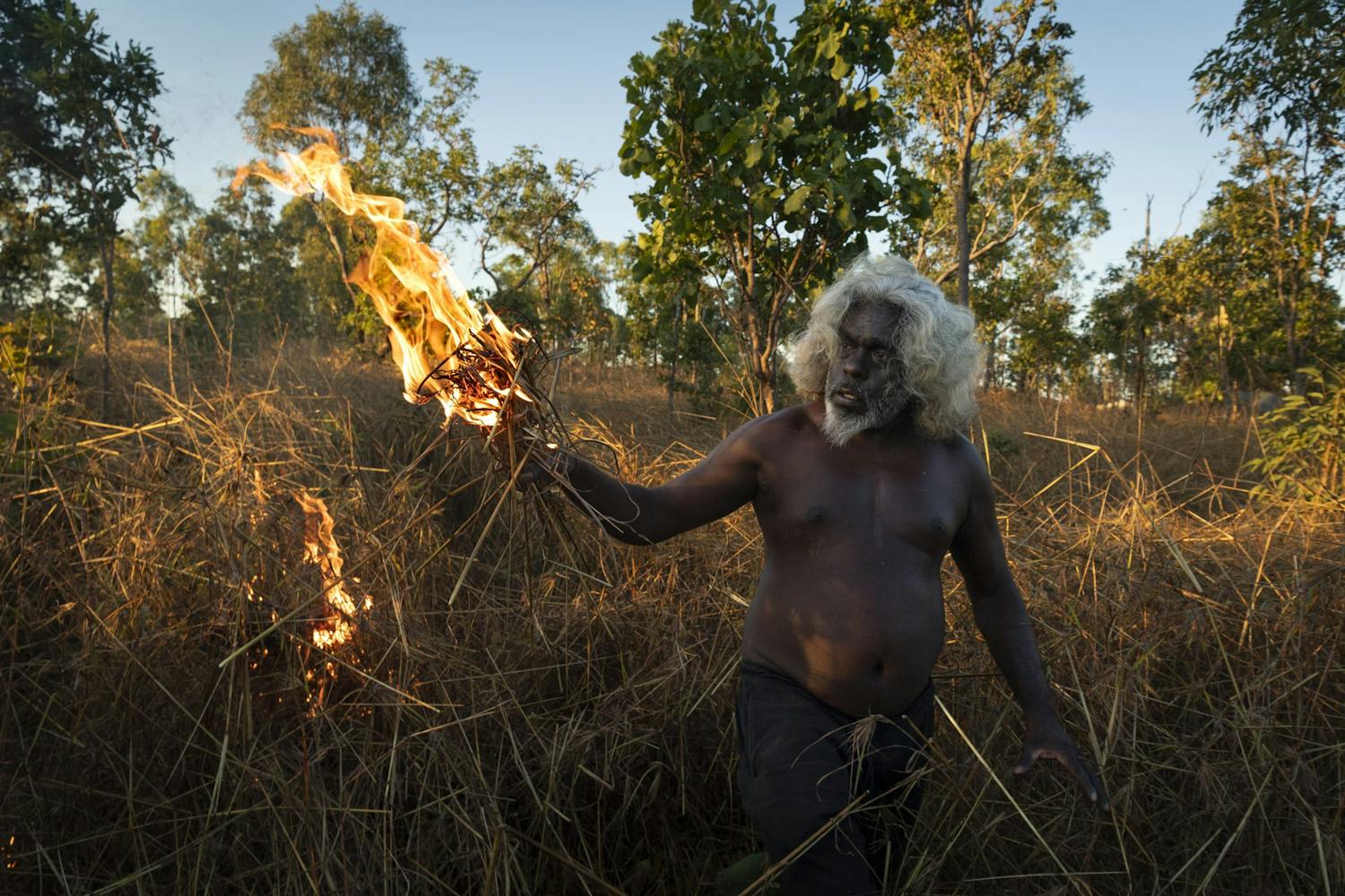 Saving Forests with Fire Mann antenner skogen.